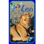 Una Famiglia per Leo