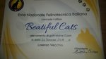Caramella Dell'allevamento Privato Beautiful Cats