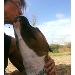 Pit bull Femmina 4 anni rose in Adozione! - Foto n. 10