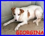 Giorgina si Rifugia in un Angolo Della sua Cella Triste e Impaurita - Foto n. 1