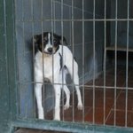 Ettore Certa Urgentemente Casa