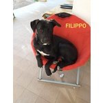 Una Mamma per Filippo - Foto n. 1