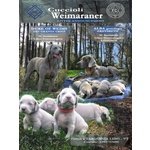 Cuccioli Weimaraner alta Genealogia