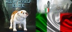 Cuccioli Bulldog Inglese alta Genealogia - Foto n. 5