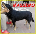 Massimo mix rott Cieco 9 Anni
