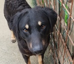 Amedeo 2 anni Molto Fiero