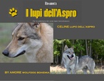 Cuccioli lupo Cecoslovacco - Foto n. 1