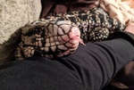 Tegu Argentino