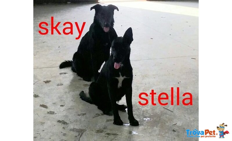 Skay e Stella - Foto n. 1