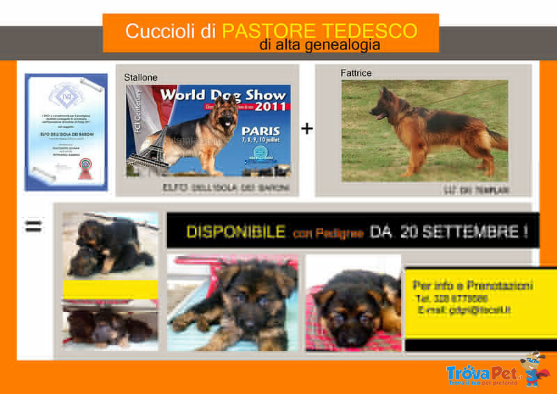 Cuccioli Pastore Tedesco - Foto n. 1