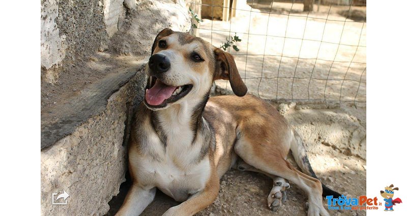 Albertino, solo 9 Mesi, Salvato Dall'annegamento - Foto n. 2