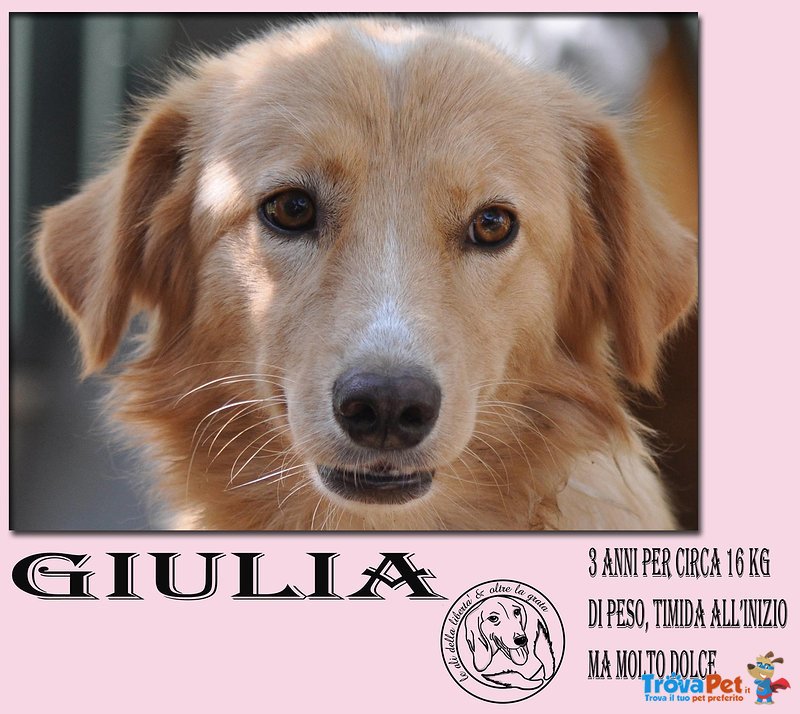 Giulia, 3 anni e 16kg - Foto n. 1