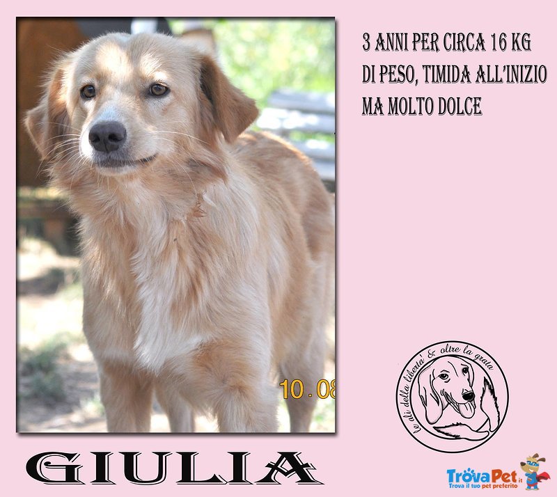 Giulia, 3 anni e 16kg - Foto n. 3