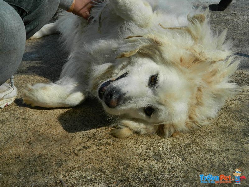 Nebbia, Dolce Nebbia, Reclusa da 11 Anni - Foto n. 1