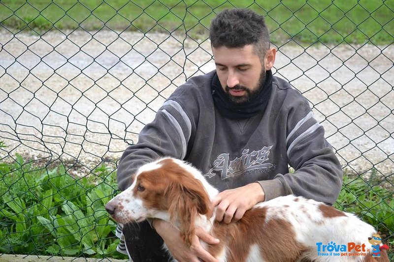 Albert e la voce del suo Cuore - Foto n. 5