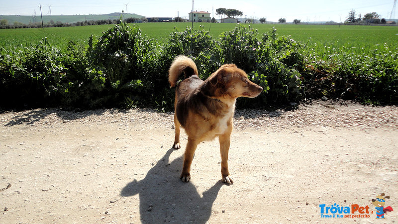 Samanta Femmina Taglia Piccola - Foto n. 4