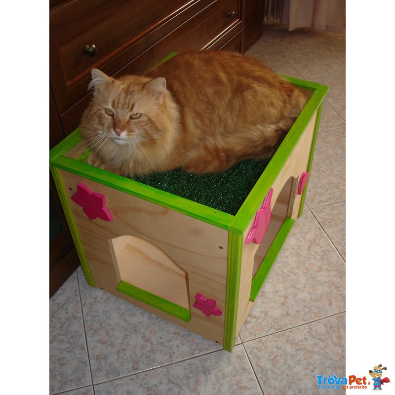 Cat box per Gatti - Foto n. 3