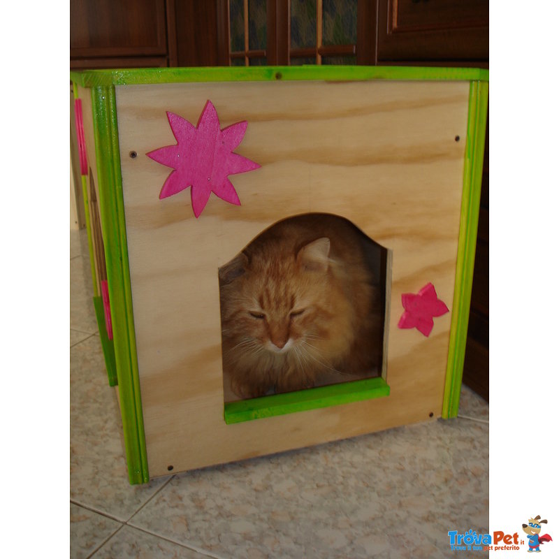 Cat box per Gatti - Foto n. 4