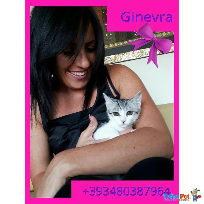 Ginevra in Adozione - Foto n. 1