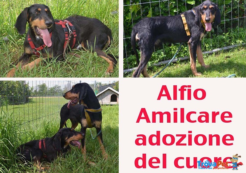 Alfio e Amilcare due Fratelli dal Cuore Grande - Foto n. 1