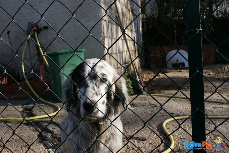 Fiorella …bella e Possibile! - Foto n. 1