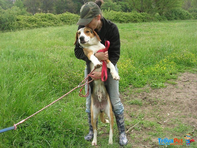 Artù e Merlino... dai che Tutto Passa! - Foto n. 5