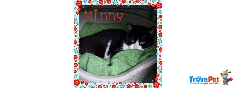 Adottate Minny - Foto n. 1