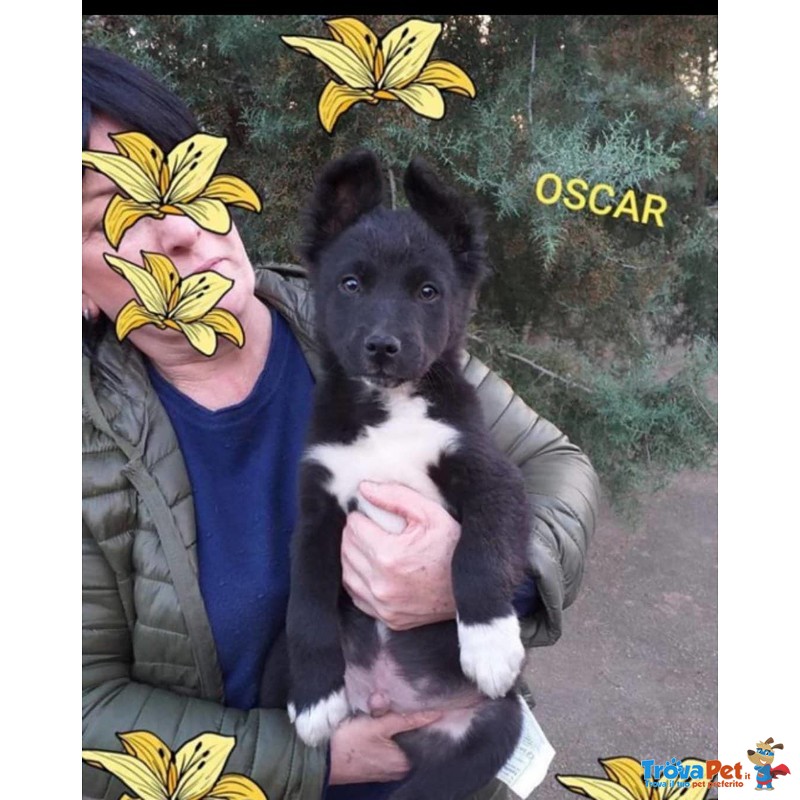 Oscar Aspetta la sua Famiglia - Foto n. 1