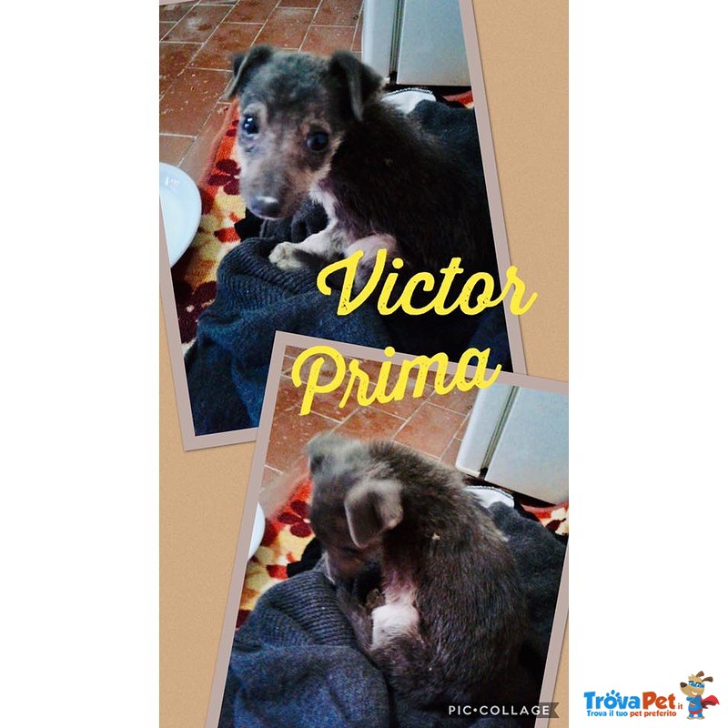 Una Bella Famiglia per il Dolce Victor - Foto n. 7