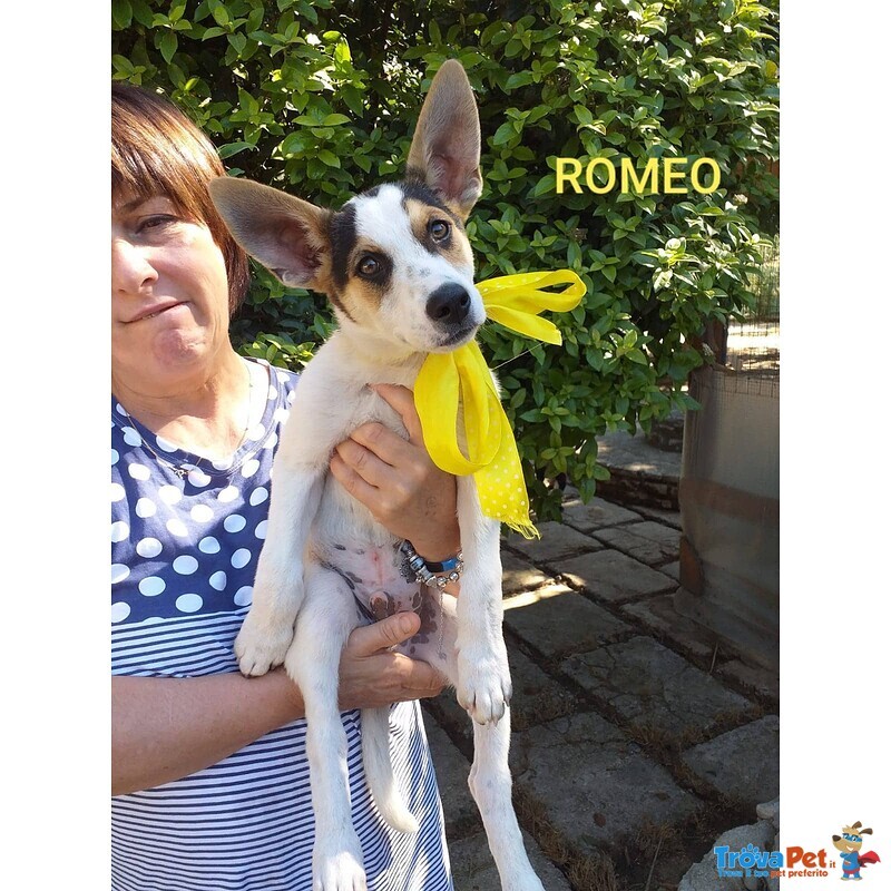 Una Mamma per Romeo - Foto n. 1