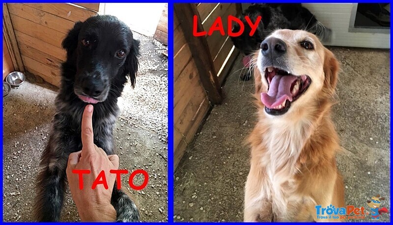 Tato e lady Adozione di Coppia - Foto n. 3