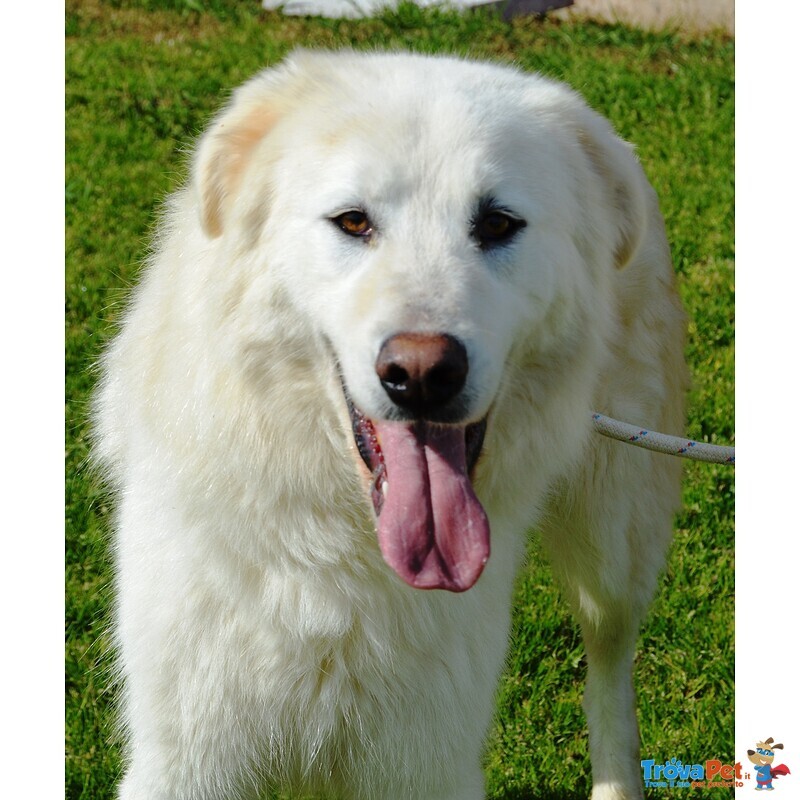 Giulio, Bello e Giovane Cerca Casa! - Foto n. 2